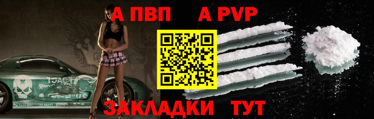 Alfa_PVP СК Киселёвск