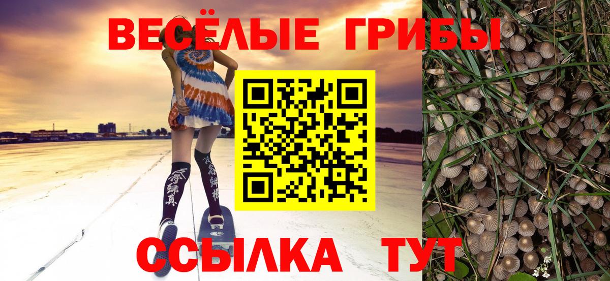 Галлюциногенные грибы GOLDEN TEACHER Киселёвск